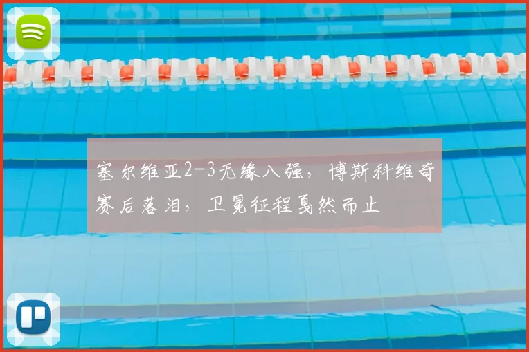 塞尔维亚2-3无缘八强，博斯科维奇赛后落泪，卫冕征程戛然而止