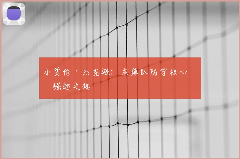 小贾伦·杰克逊：灰熊队防守核心的崛起之路