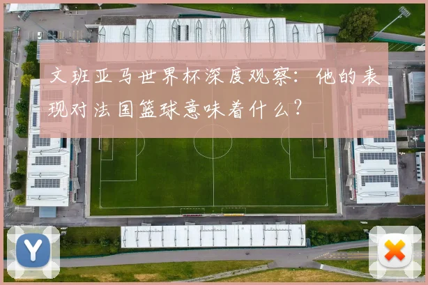 文班亚马世界杯深度观察：他的表现对法国篮球意味着什么？