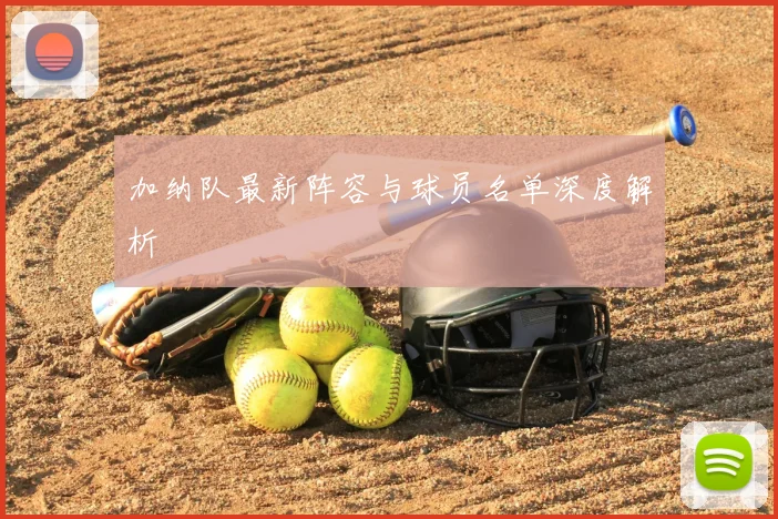 加纳队最新阵容与球员名单深度解析