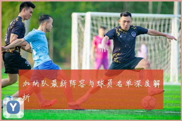 加纳队最新阵容与球员名单深度解析
