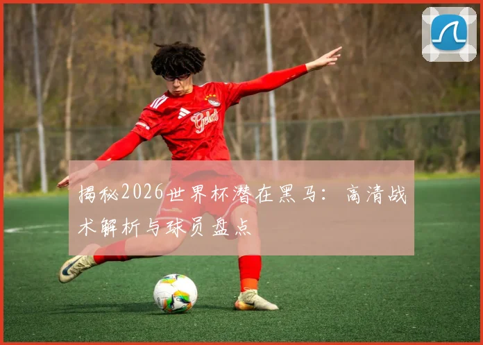 揭秘2026世界杯潜在黑马：高清战术解析与球员盘点