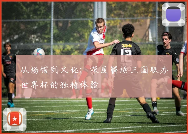 从场馆到文化：深度解读三国联办世界杯的独特体验